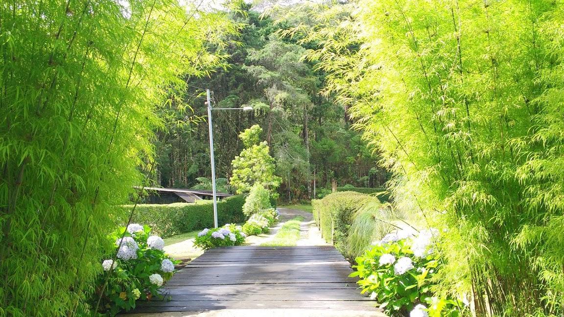 Havila Arara Azul Нова-Фрибургу Экстерьер фото